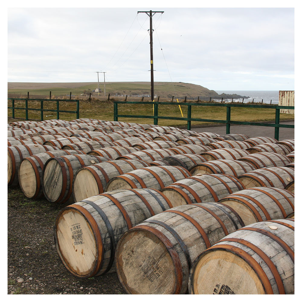 Whisky Tasting | Neue Destillen - Neugründungen der letzten Jahre